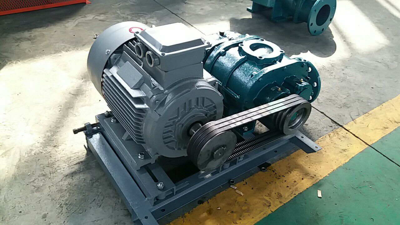 1-1G101095451.jpg